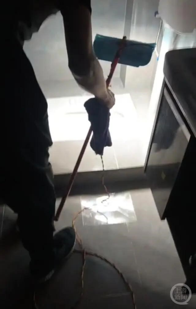 提灯定损 提灯定损